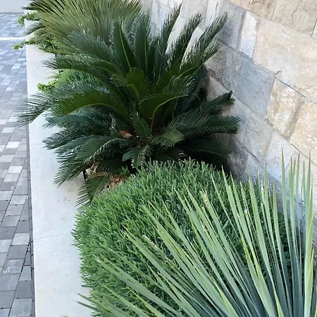 Premium Apartmán Tučepi
